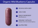 koyah-organic-wild-blueberry-capsules-fr-4.jpg