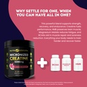 creatine-monohydrate-5g-with-bcaas-suppo-3.jpg