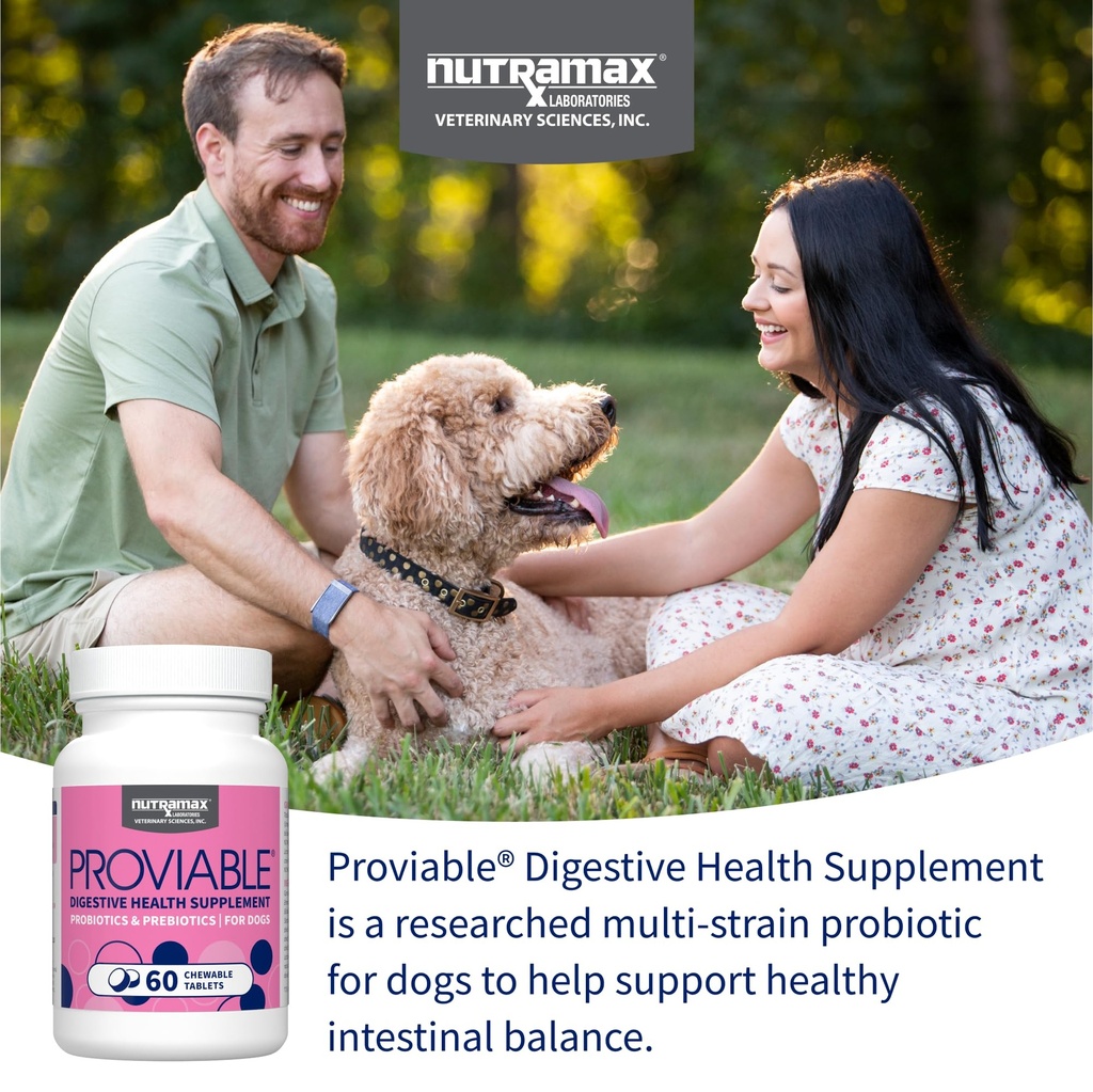nutramax-proviable-probiotics-for-dogs-d-3.jpg