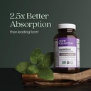 new-chapter-magnesium-ashwagandha-supple-3.jpg