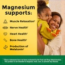 nature-made-high-absorption-magnesium-gl-2.jpg
