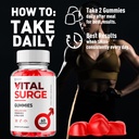 2-pack-vital-surge-gummies-official-vita-5.jpg