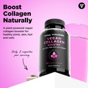 vital-vitamins-vegan-collagen-booster-ca-4.jpg