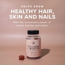 the-elderberry-co-collagen-biotin-gummie-2.jpg