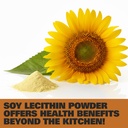 hampton-distribution-soy-lecithin-powder-4.jpg