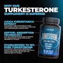 huge-supplements-turkesterone-ecdysteron-2.jpg