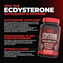 huge-supplements-turkesterone-ecdysteron-3.jpg