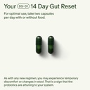 seed-14-day-gut-reset-prebiotic-and-prob-3.jpg