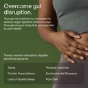 seed-14-day-gut-reset-prebiotic-and-prob-4.jpg