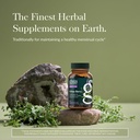 gaia-herbs-vitex-berry-vitex-traditional-2.jpg