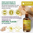 4-oz-ginger-root-extract-liquid-drops-st-4.jpg