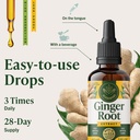 herbamama-ginger-drops-vegan-digestive-s-6.jpg