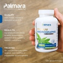 palmara-health-premium-andrographis-pani-2.jpg