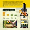 2-pack-mullein-drops-for-lungs---lungs-c-3.jpg