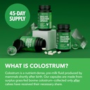 grass-fed-colostrum-supplement-for-immun-6.jpg