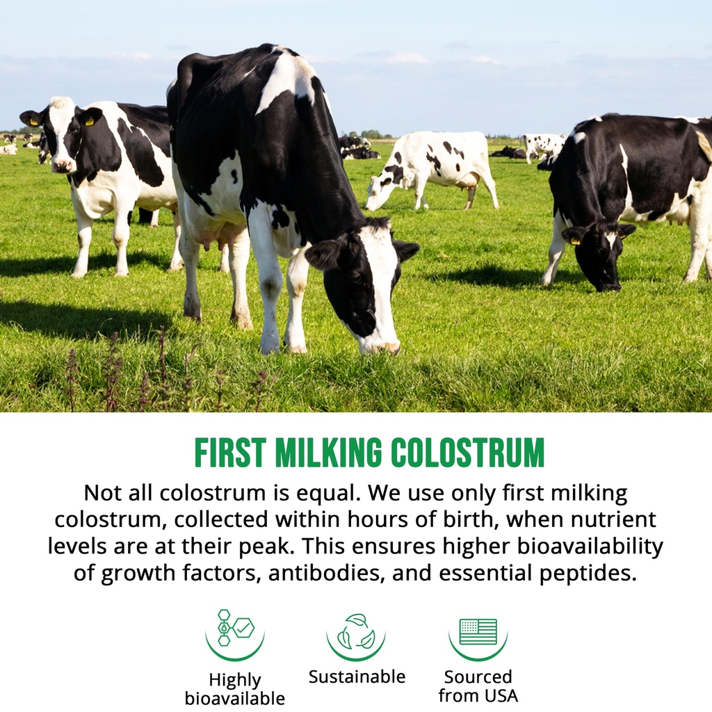 bovine-colostrum-supplement-for-gut-heal-3.jpg