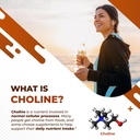 choline-with-dha-inositol-vitamin-b12-co-2.jpg
