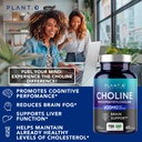 plant-o-nutrition-choline-phosphatidyl-s-3.jpg