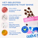 native-pet-omega-skin-and-coat-chews-for-6.jpg