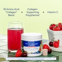 gundry-md-phyto-collagen-complex-plant-b-2.jpg