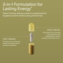 seed-am-02-energy-focus-daily-nootropic--3.jpg
