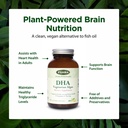 flora-premium-dha-vegetarian-algae-green-4.jpg