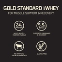 optimum-nutrition-gold-standard-100-whey-2.jpg