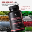 b-life-company-berberine-supplement-300m-6.jpg