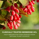 leaping-lynx-berberine-hcl-1200-mg-premi-2.jpg