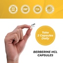 leaping-lynx-berberine-hcl-1200-mg-premi-5.jpg