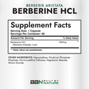 built-by-nature-berberine-500mg-berberin-4.jpg