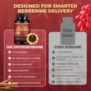 zebora-dihydroberberine-1250mg-berberine-3.jpg
