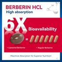 berberine-hcl-supplement-1500mg-with-cey-2.jpg