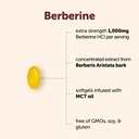 micro-ingredients-berberine-1000mg-with--2.jpg