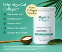 algaecal-vitamin-d3-collagen-bundle-hydr-3.jpg