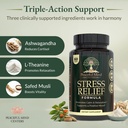 stress-relief-formula-natural-ashwagandh-4.jpg