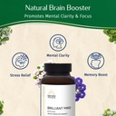 kerala-ayurveda-brahmi-bacopa-monnieri-p-2.jpg