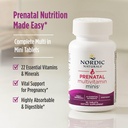 nordic-naturals-vegetarian-prenatal-mult-3.jpg