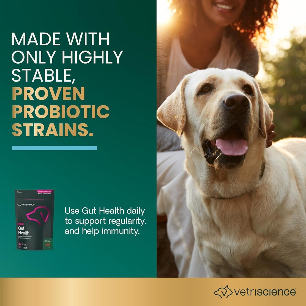 vetriscience-gut-health-chews-probiotic--2.jpg