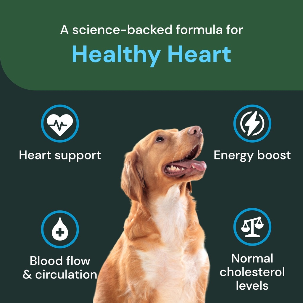 vetriscience-veterinary-strength-healthy-4.jpg