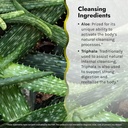 irwin-naturals-aloe-triphala-active-clea-4.jpg