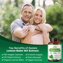 zazzee-organic-lemon-balm-10-1-extract-1-3.jpg