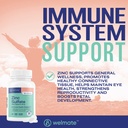 welmate-zinc-sulfate-220-mg-tablets-200--3.jpg