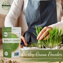 barley-grass-powder-11-oz-100-natural-gr-3.jpg