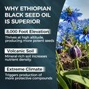 purelynutrient-ethiopian-black-seed-oil--3.jpg