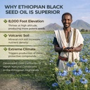ethiopian-black-seed-oil-softgels-ethiop-5.jpg