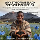 organic-ethiopian-black-seed-oil-softgel-5.jpg