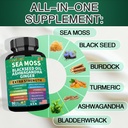 sea-moss-black-seed-oil-ashwagandha-ging-3.jpg