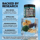 clean-nutra-organic-sea-moss-capsules-wi-3.jpg