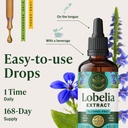 herbamama-lobelia-tincture-vegan-lobelia-6.jpg